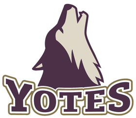 College of Idaho banner logo